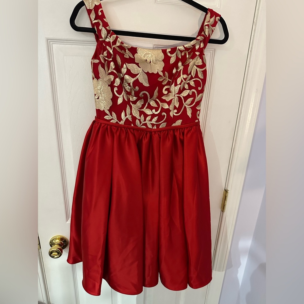 NWT Fifteen Roses Elegant Red and Gold Dress (4)